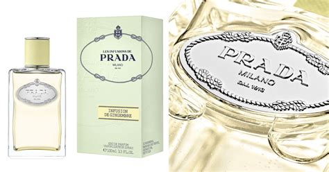 Prada Infusion De Gingembre: A Ginger Solinote That .